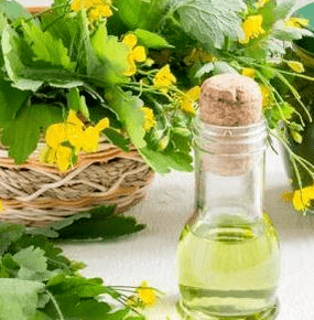 Celandine onddoaren aurkako borrokan